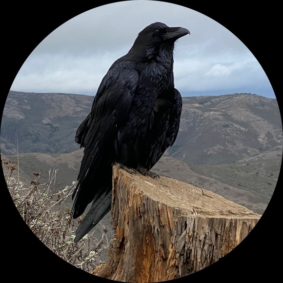 Meet your Posher, Posh - Picture 1 of 1